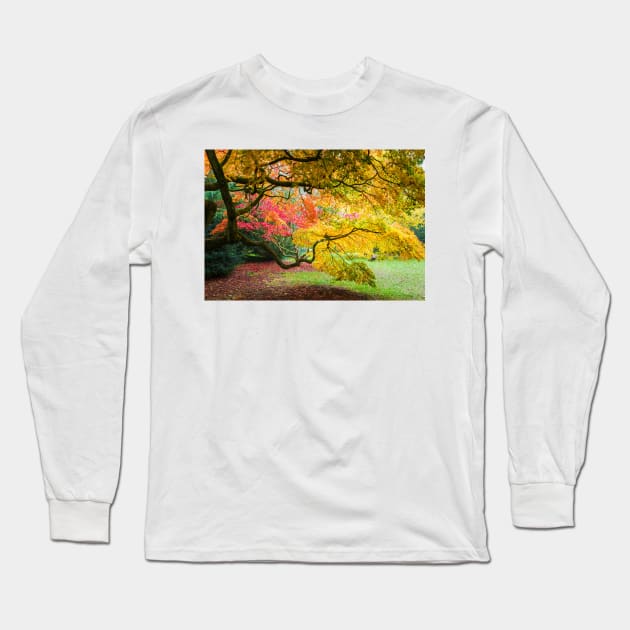 Japanese Maples (Acer Palmatum) in Autumn Colours Long Sleeve T-Shirt by GrahamPrentice